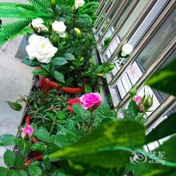 上海春芒民宿(江苏路7口分店)酒店提供图片