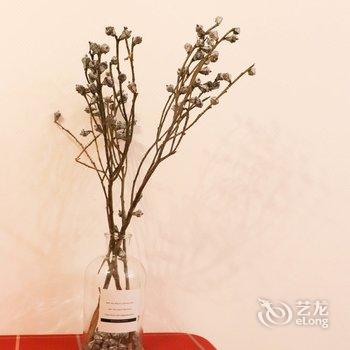 成都琉沐公寓(合江亭分店)酒店提供图片