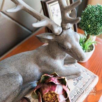 重庆雾都之家公寓(迪咔乐儿童乐园分店)酒店提供图片