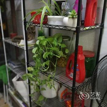 成都香椿宿公寓(龙吟路口分店)酒店提供图片