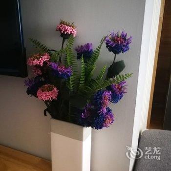 青岛恩恩公寓酒店提供图片