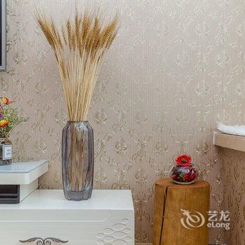成都玖號公馆公寓(古大圣慈寺分店)酒店提供图片