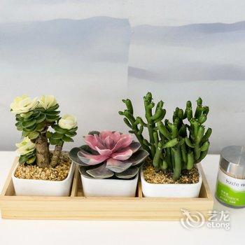 源远流长公寓(西安黄雁东村店)酒店提供图片