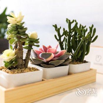 源远流长公寓(西安黄雁东村店)酒店提供图片