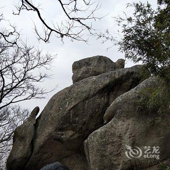 普陀山望海客栈酒店提供图片