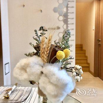 北京Helena’house公寓(吉祥庄村南大街分店)酒店提供图片