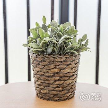 佛系旅宿二店公寓(上海界龙三路分店)酒店提供图片