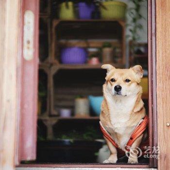 西安隐居.山间花园度假别墅酒店提供图片