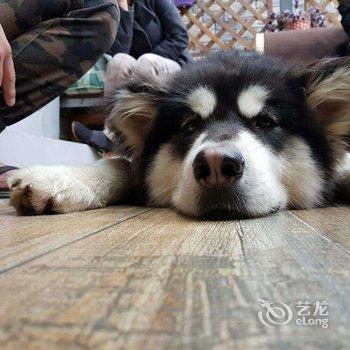 西安隐居.山间花园度假别墅酒店提供图片