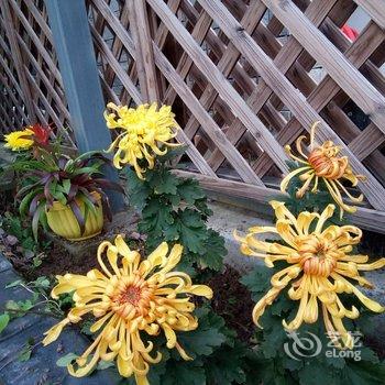 西安隐居.山间花园度假别墅酒店提供图片