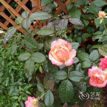 西安隐居.山间花园度假别墅酒店提供图片