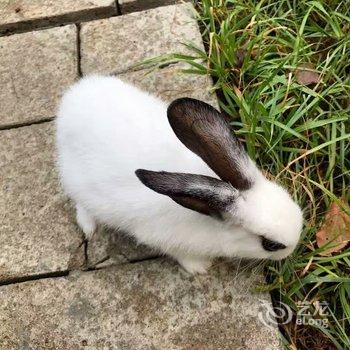 西安隐居.山间花园度假别墅酒店提供图片