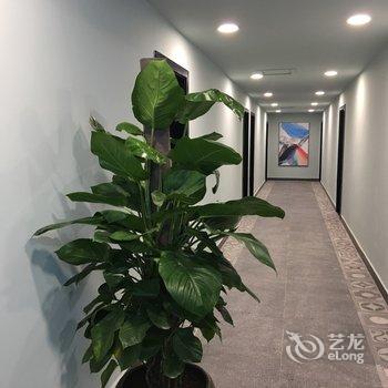 重庆溪溪家公寓(宏泰路分店)酒店提供图片