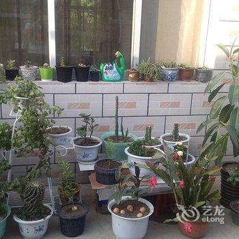 承德暑山庄后花园薰衣草民宿(老西营村分店)酒店提供图片