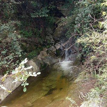 西安隐居.山间花园度假别墅酒店提供图片