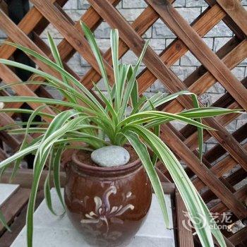 西安隐居.山间花园度假别墅酒店提供图片