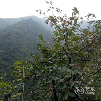 西安隐居.山间花园度假别墅酒店提供图片