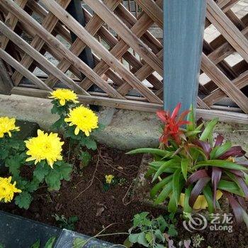 西安隐居.山间花园度假别墅酒店提供图片