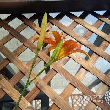 西安隐居.山间花园度假别墅酒店提供图片