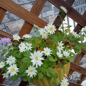 西安隐居.山间花园度假别墅酒店提供图片