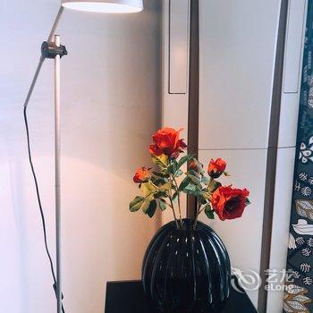 上海Daisy郑公寓(达人湾分店)酒店提供图片