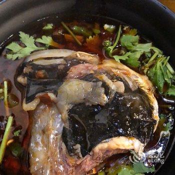 ��������YANG�Ԣ�Ƶ��ṩͼƬ