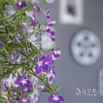 北京敏子的小院酒店提供图片