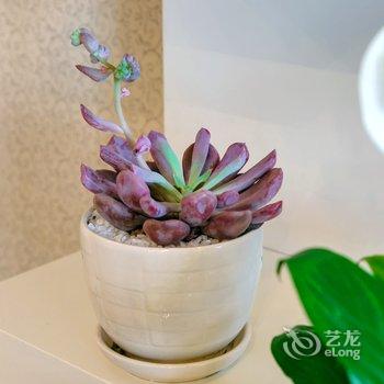 成都遇见行者公寓(文殊阁分店)酒店提供图片