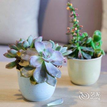 成都阳光乐园公寓酒店提供图片