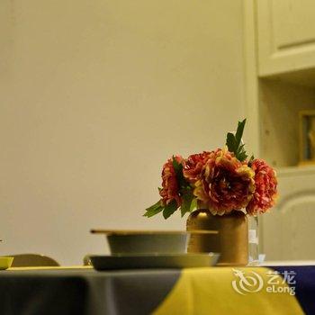 重庆兔猫之家公寓(磁童路分店)酒店提供图片