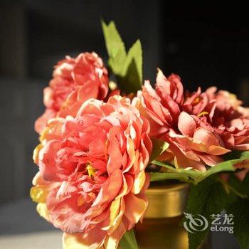 重庆兔猫之家公寓(磁童路分店)酒店提供图片