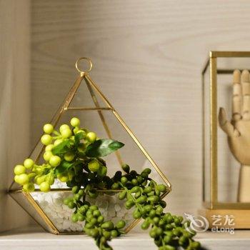 重庆兔猫之家公寓(磁童路分店)酒店提供图片