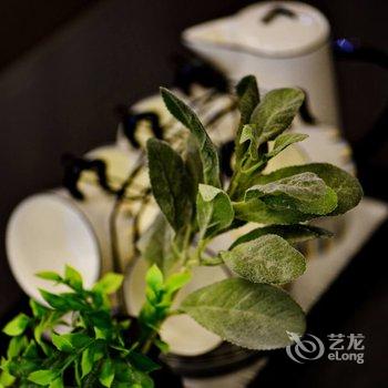 重庆兔猫之家公寓(磁童路分店)酒店提供图片