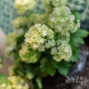 成都77House/77号民宿(十五北街分店)酒店提供图片