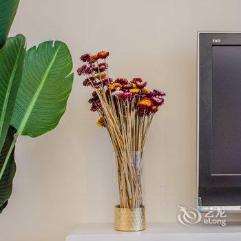 �ɶ����(00140090)��Ԣ(�Ŵ�ʥ���·ֵ�)�Ƶ��ṩͼƬ