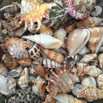 青岛海之情怀公寓酒店提供图片