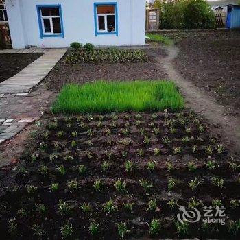 额尔古纳迦南美旅游之家民宿酒店提供图片