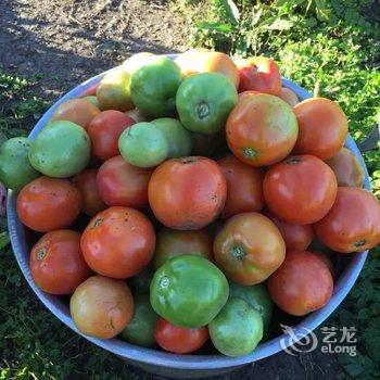 额尔古纳迦南美旅游之家民宿酒店提供图片
