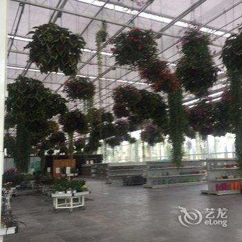 上海Taya风情小屋公寓酒店提供图片