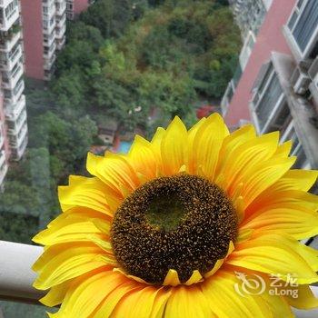 成都青羊区泽宸hotel公寓(宽巷子分店)酒店提供图片
