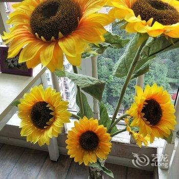 成都青羊区泽宸hotel公寓(宽巷子分店)酒店提供图片