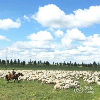 陈巴尔虎白音盟古乐蒙古包营地酒店提供图片