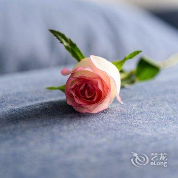 西安桃子公寓酒店酒店提供图片