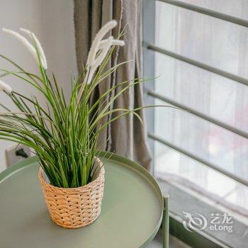 成都路客BE0190精品民宿酒店提供图片