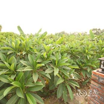 广州阿鑫度假别墅酒店提供图片
