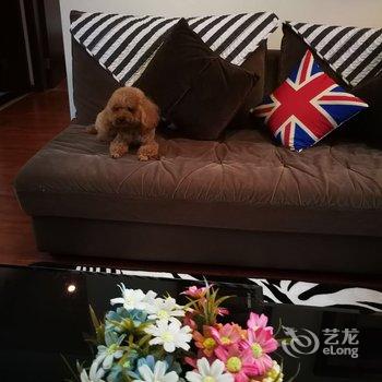 成都宜简·时光普通公寓酒店提供图片