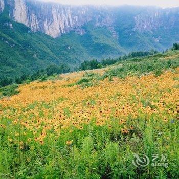 恩施义辉客栈酒店提供图片