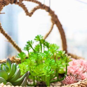 成都熊猫有空公寓酒店提供图片