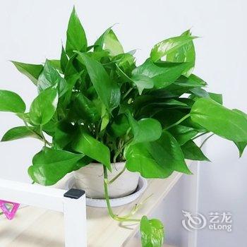 古韵小屋公寓(西安冉家村店)酒店提供图片