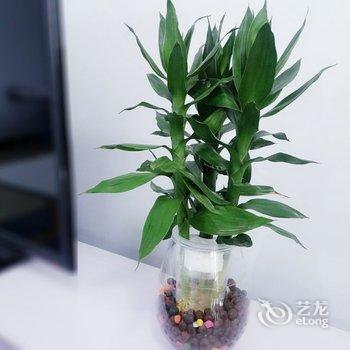 古韵小屋公寓(西安冉家村店)酒店提供图片